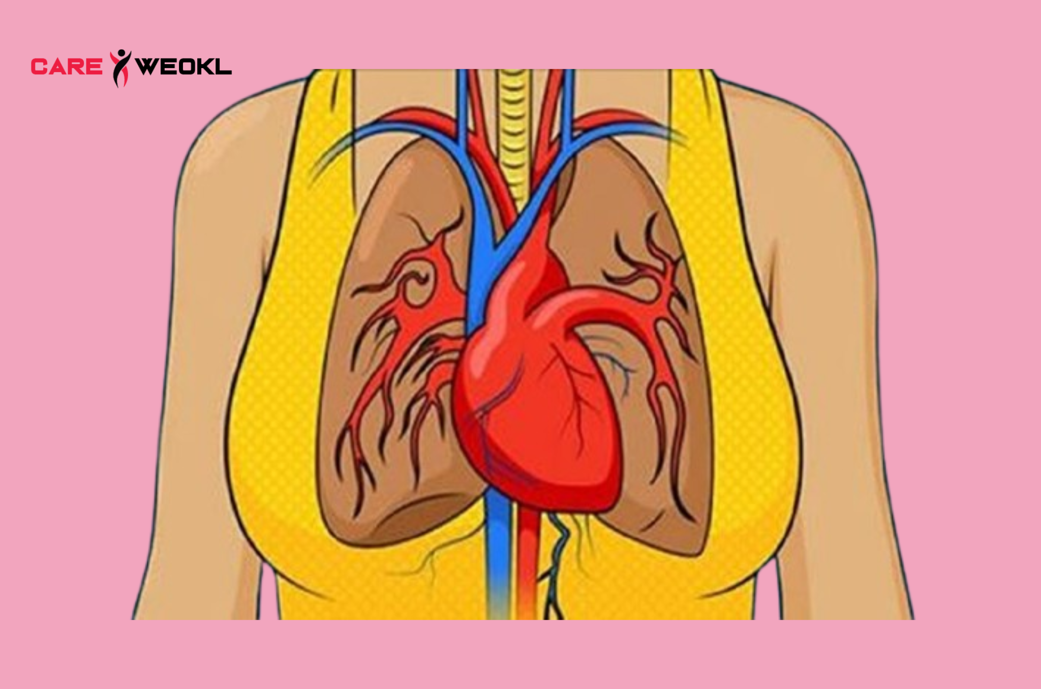 One Month Before a Heart Attack, Your Body Will Warn You – Here a